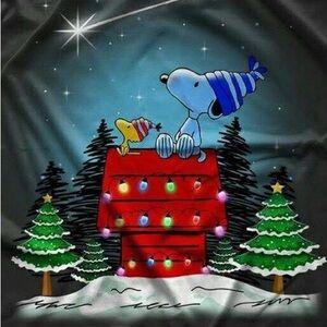 🎄🎄🎄75% OFF EVERTHING🎄🎄🎄